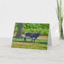 Search for longhorn cow cards White