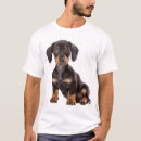 Search for dachshund mens tshirts Dashound