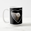 Search for seals mugs Wildlife