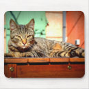 Search for tiger face mousepads Eyes