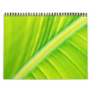 Search for backdrop office supplies Abstract
