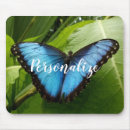 Search for morpho electronics Animal