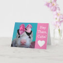 Search for ferret cards Cute