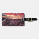 Search for tide pool accessories America