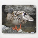 Search for duck mousepads Brown
