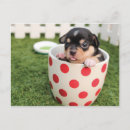Search for mug postcards Cute