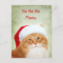 Search for marmalade cards Kitty