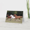 Search for bob cards Breed