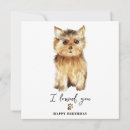 Search for yorkshire terrier dog birthday cards Puppy