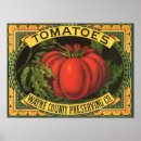 Search for vintage tomato posters Retro