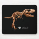 Search for cretaceous electronics Paleontology