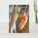 Search for squirrel birthday cards Rodent
