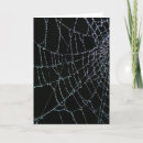 Search for spider web halloween cards Nature