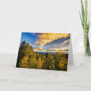 Search for santa cards Forest