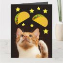 Search for taco birthday cards Cat