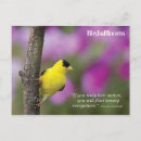Search for bird sayings postcards Birding