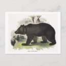 Search for educate postcards Animals
