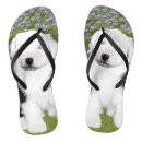 Search for sheep shoes Cute