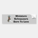 Search for schnauzer bumper stickers Puppy