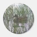 Search for duck photography Bird