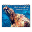 Search for turtle calendars Fish