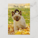 Search for pet at a time invitations Pets