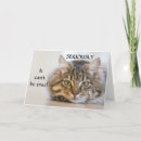 Search for funny cat 50th birthday cards Friend