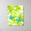 Search for butterfly tree art Wildlife