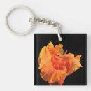 Search for exotic key rings Orange