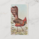 Search for cardinal bird business cards Red