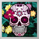 Search for skulls roses posters Human
