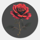 Search for red rose flowers stickers Birthday