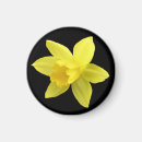 Search for spring bloom magnets Botanical