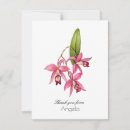 Search for orchid cards Modern