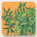 Search for mint to be mint coasters Greenery