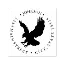 Search for fierce eagle Animal
