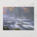 Search for foliage mist postcards Tree