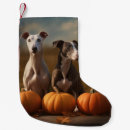Search for greyhound christmas stockings Pet