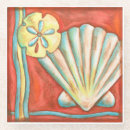 Search for seashell coasters Sand