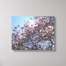 Search for cherry blossom tree canvas prints Photography
