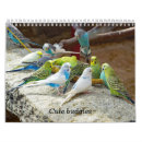 Search for bird calendars Cute