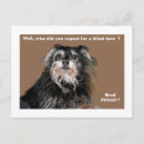 Search for blind date Dates