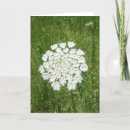 Search for annes cards Flowers