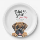Search for boerboel Pet