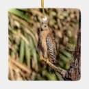 Search for hawk christmas tree decorations Wildlife