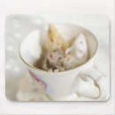 Search for animal cups electronics Mouse