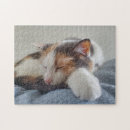 Search for calico cats puzzles Cute