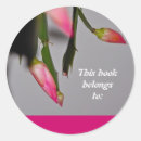 Search for blooming cactus stickers Flower