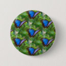 Search for morpho badges Blue morpho butterfly