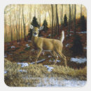 Search for doe stickers Woods